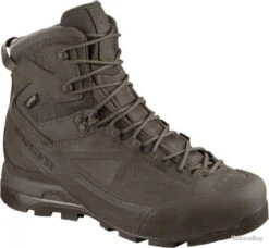 CHAUSSURES SALOMON X ALP MTN GTX FORCES - MARRON