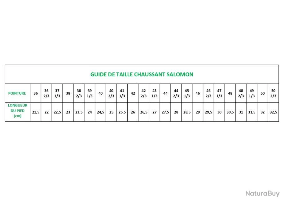 Chaussures Salomon Forces Quest 4D Vert Ranger 2 3 3 Chaussures Salomon Forces Quest 4D Vert Ranger 2 3 – Image 3
